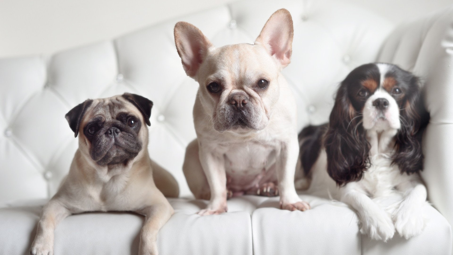 乐鱼体育app入口-锋线配合默契程度能否通过数据建模反映，锋线搭档