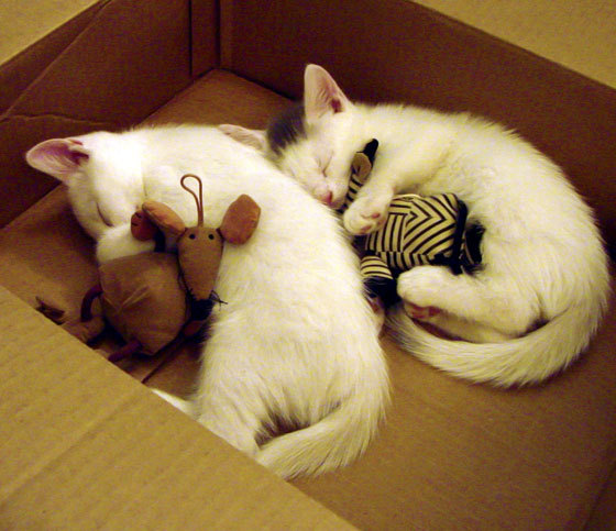 乐鱼体育入口-丁俊晖坦言每一场球都当作最后一战，丁俊晖最后一局视频